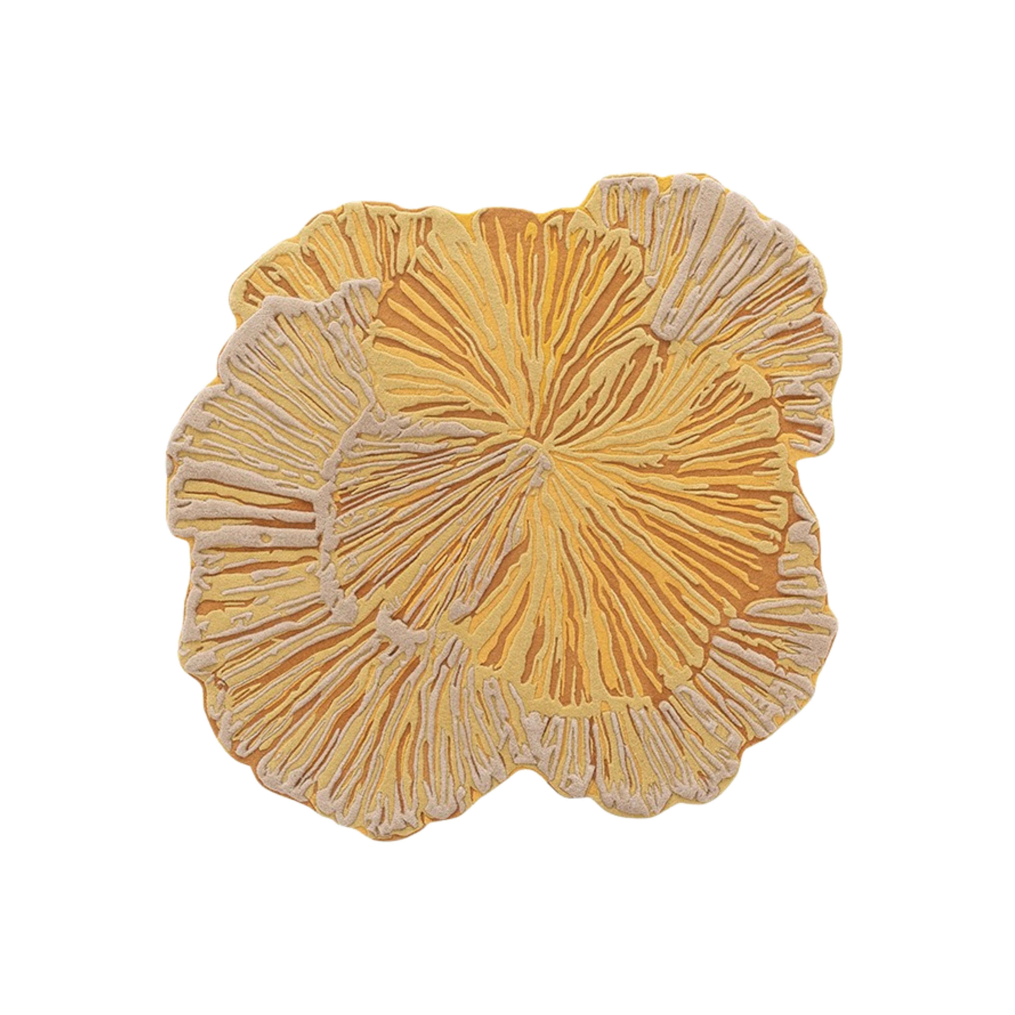 Westonbirt Turns Gold