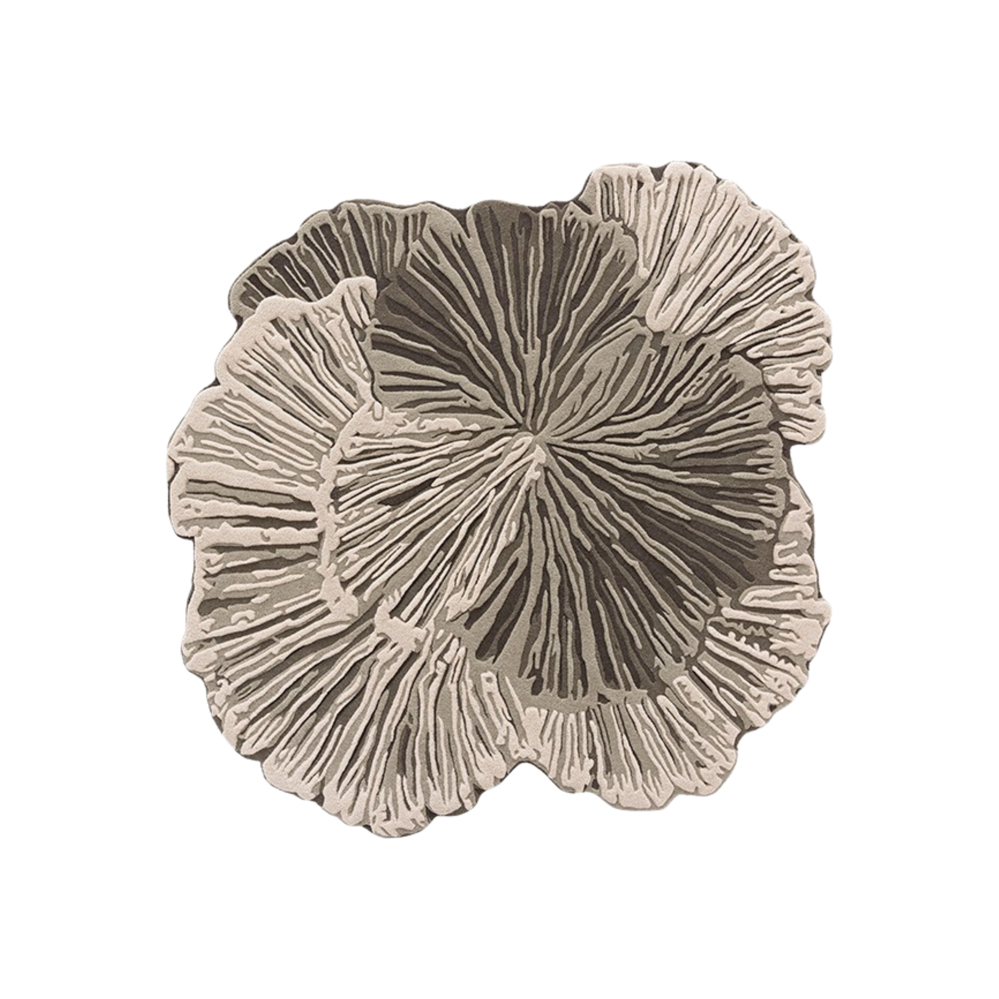 Wistman's Wood Lichened