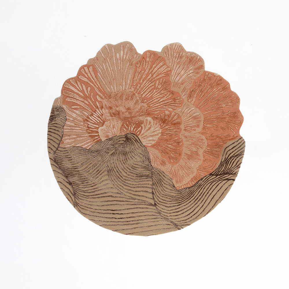 Amapola Rugs