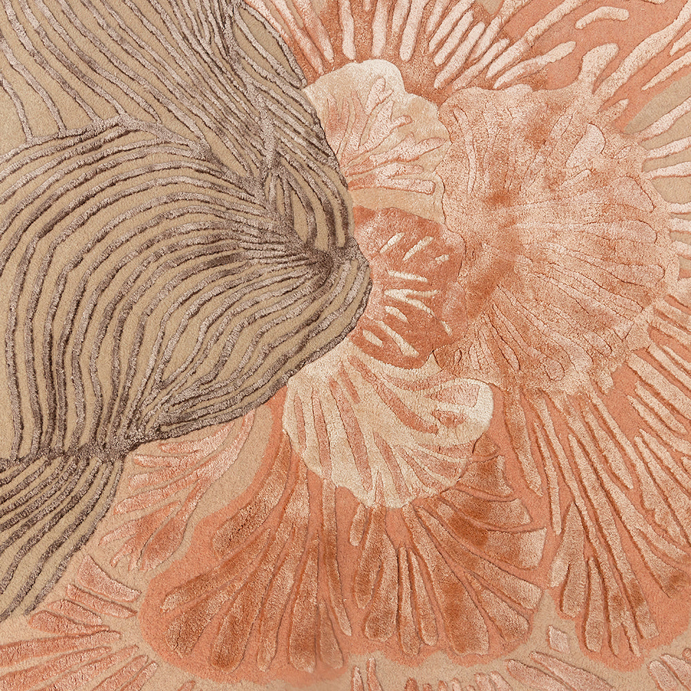 Amapola Rugs